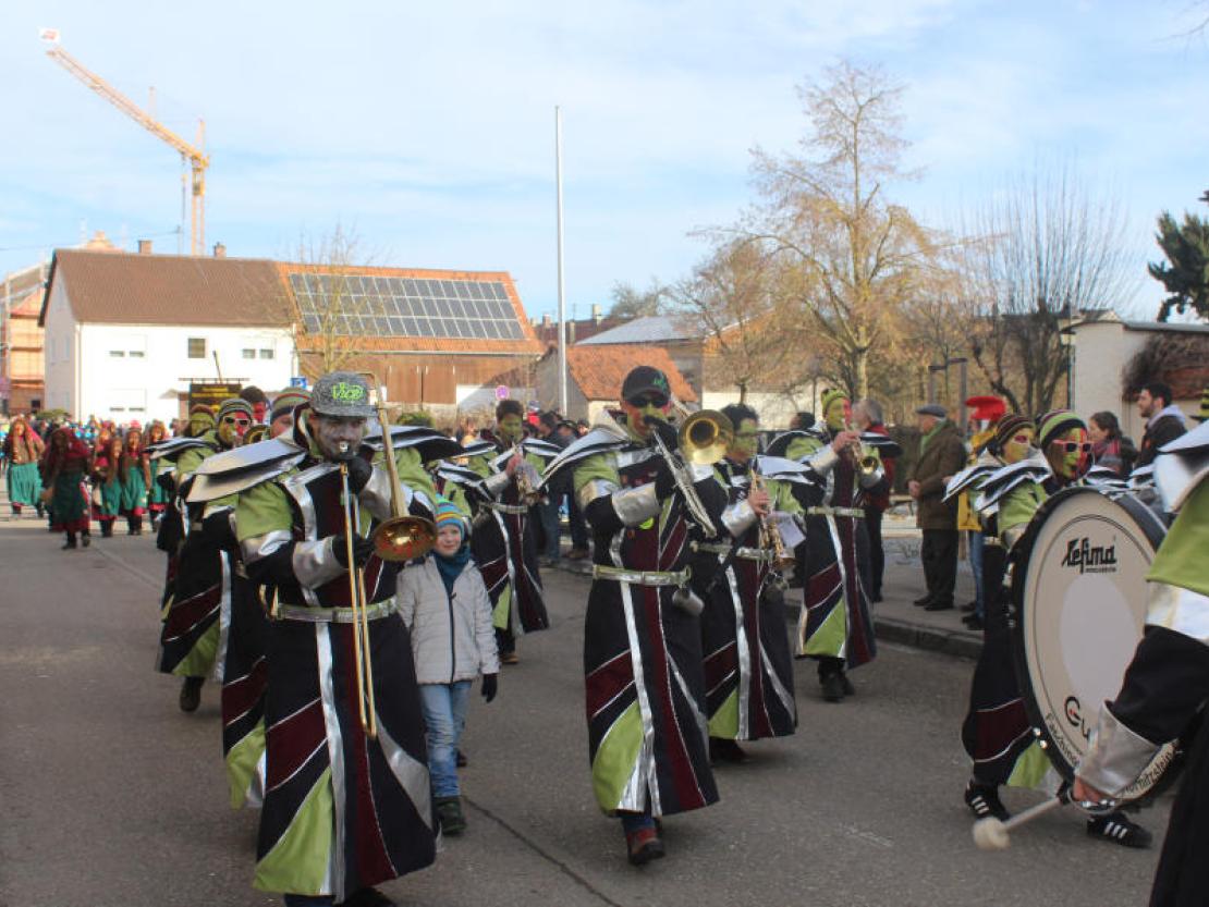 Umzug Mertingen 2017@Matthias Stark 030
