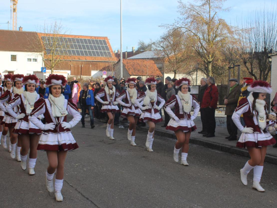 Umzug Mertingen 2017@Matthias Stark 048