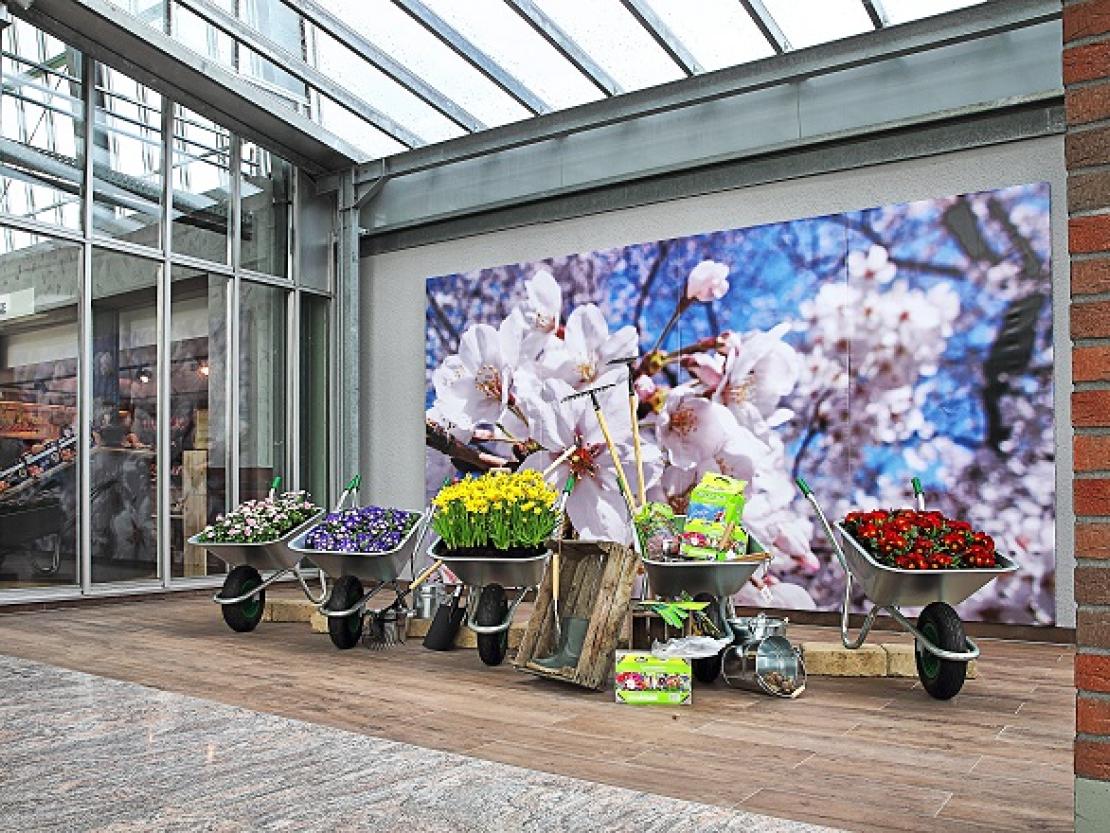 20170306_PR_MO_003_Blumenpark_MiMa_Frau_Messner