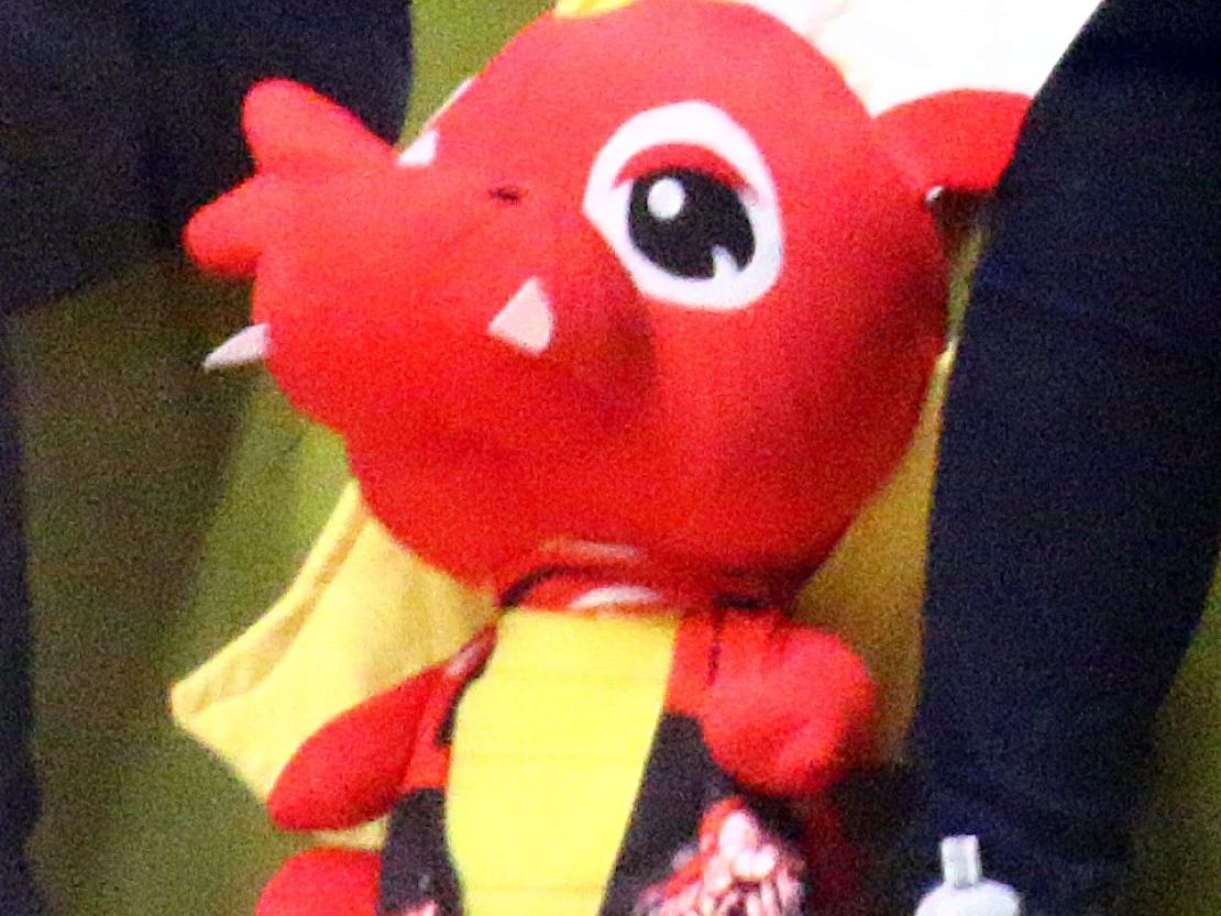 PD Giants - Rhöndorf (16)