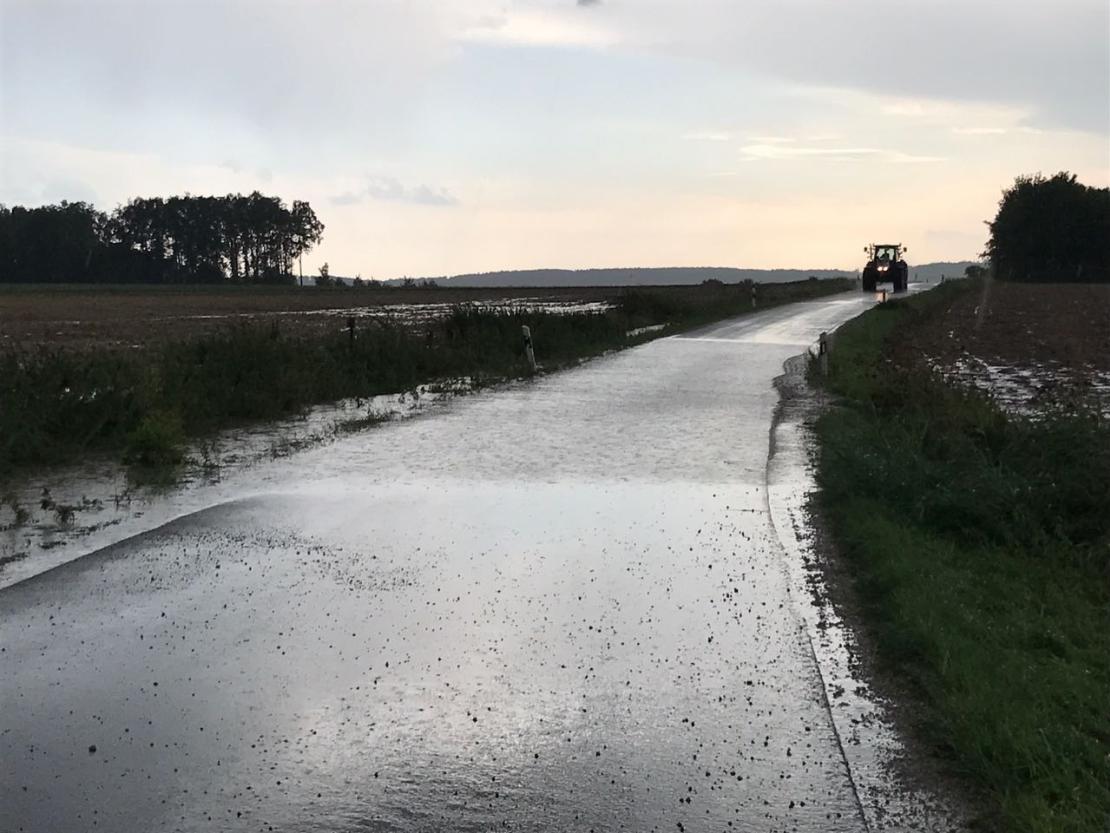 WhatsApp Image 2017-08-15 at 18.25.33