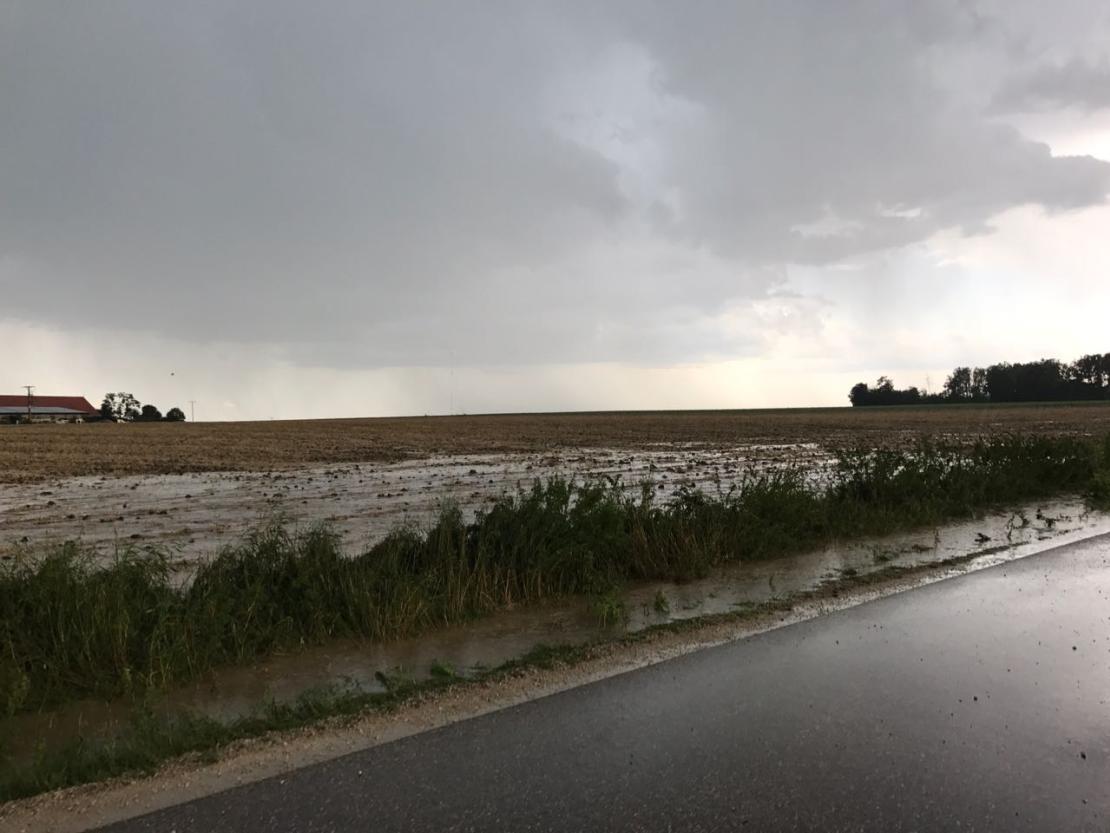 WhatsApp Image 2017-08-15 at 18.25.51