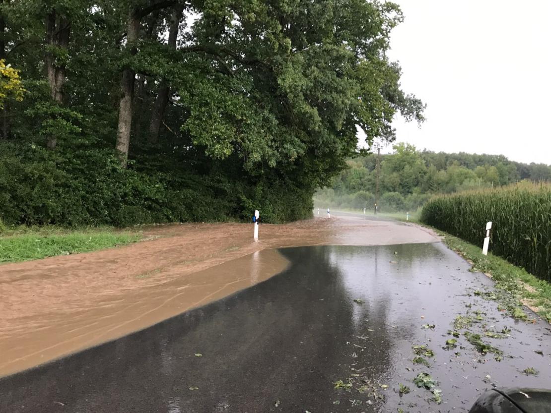 WhatsApp Image 2017-08-15 at 18.25.53