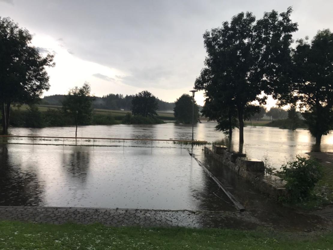 WhatsApp Image 2017-08-15 at 18.25.55