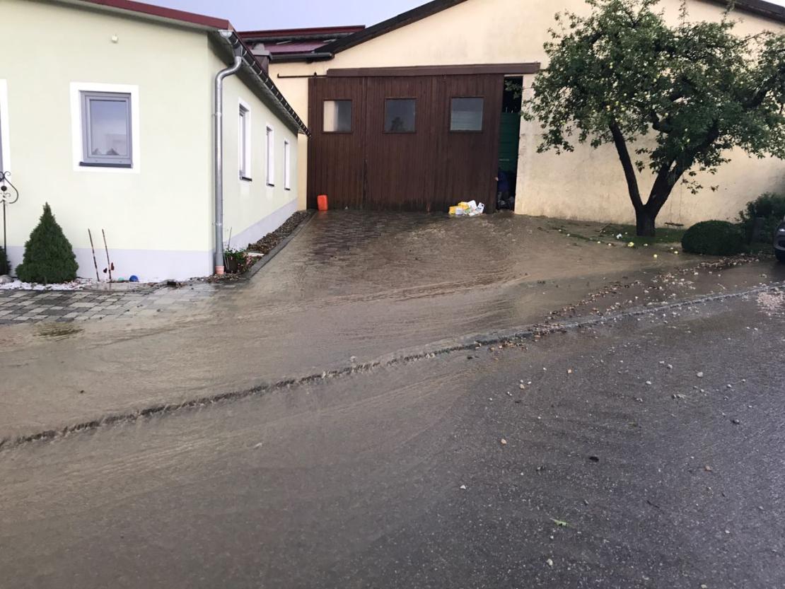 WhatsApp Image 2017-08-15 at 18.25.57 (1)