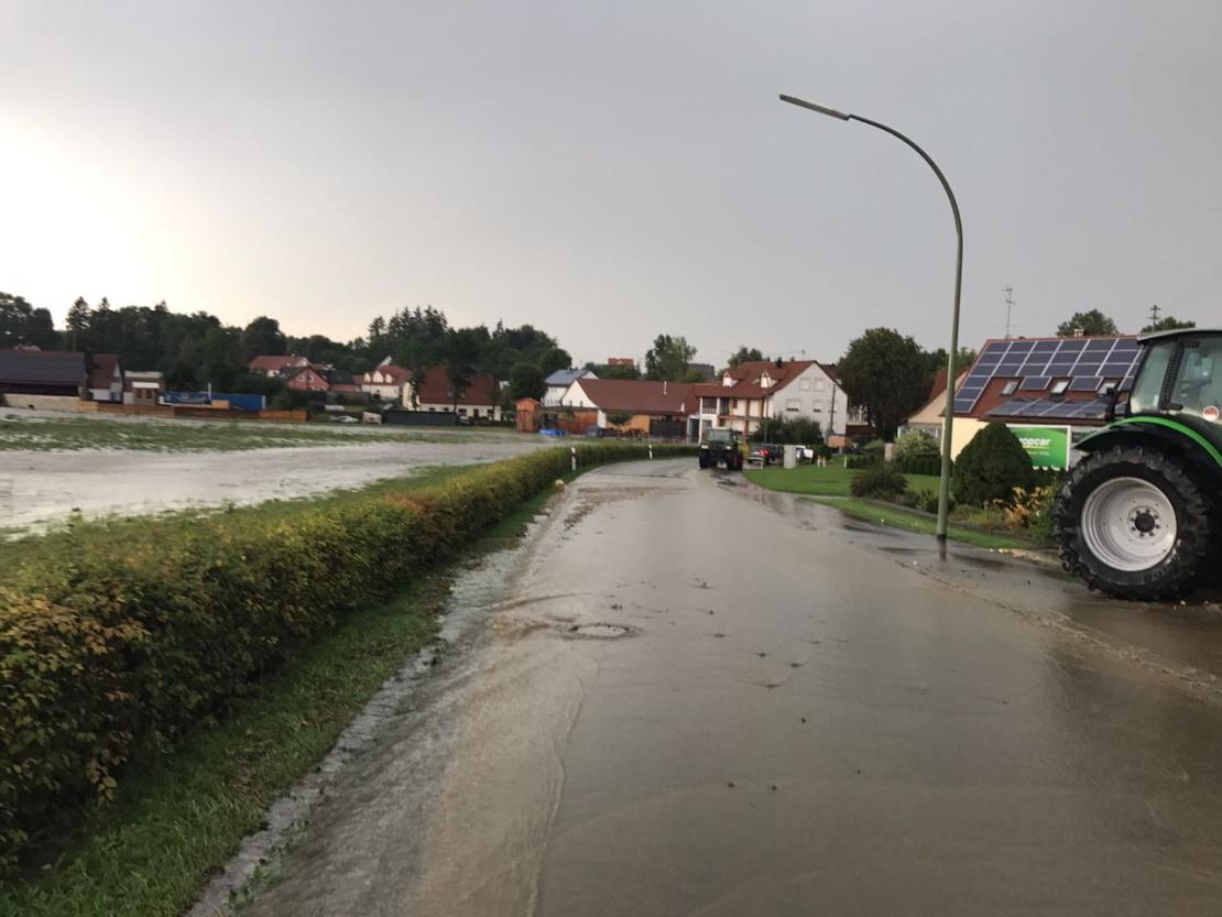 WhatsApp Image 2017-08-15 at 18.25.57