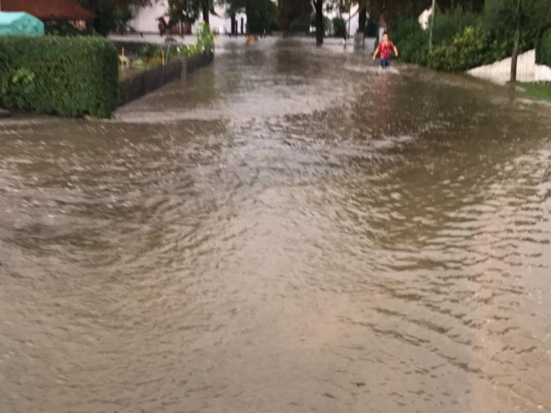 WhatsApp Image 2017-08-15 at 18.26.00