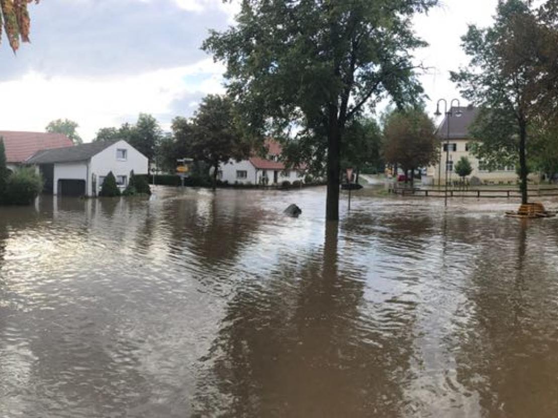 WhatsApp Image 2017-08-15 at 18.52.27