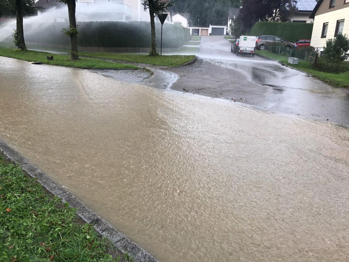 WhatsApp Image 2017-08-15 at 19.03.51