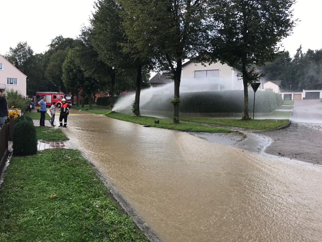 WhatsApp Image 2017-08-15 at 19.03.56