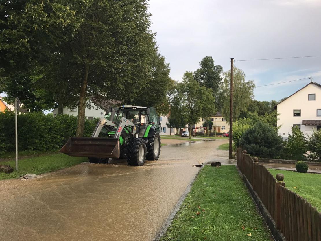 WhatsApp Image 2017-08-15 at 19.04.00