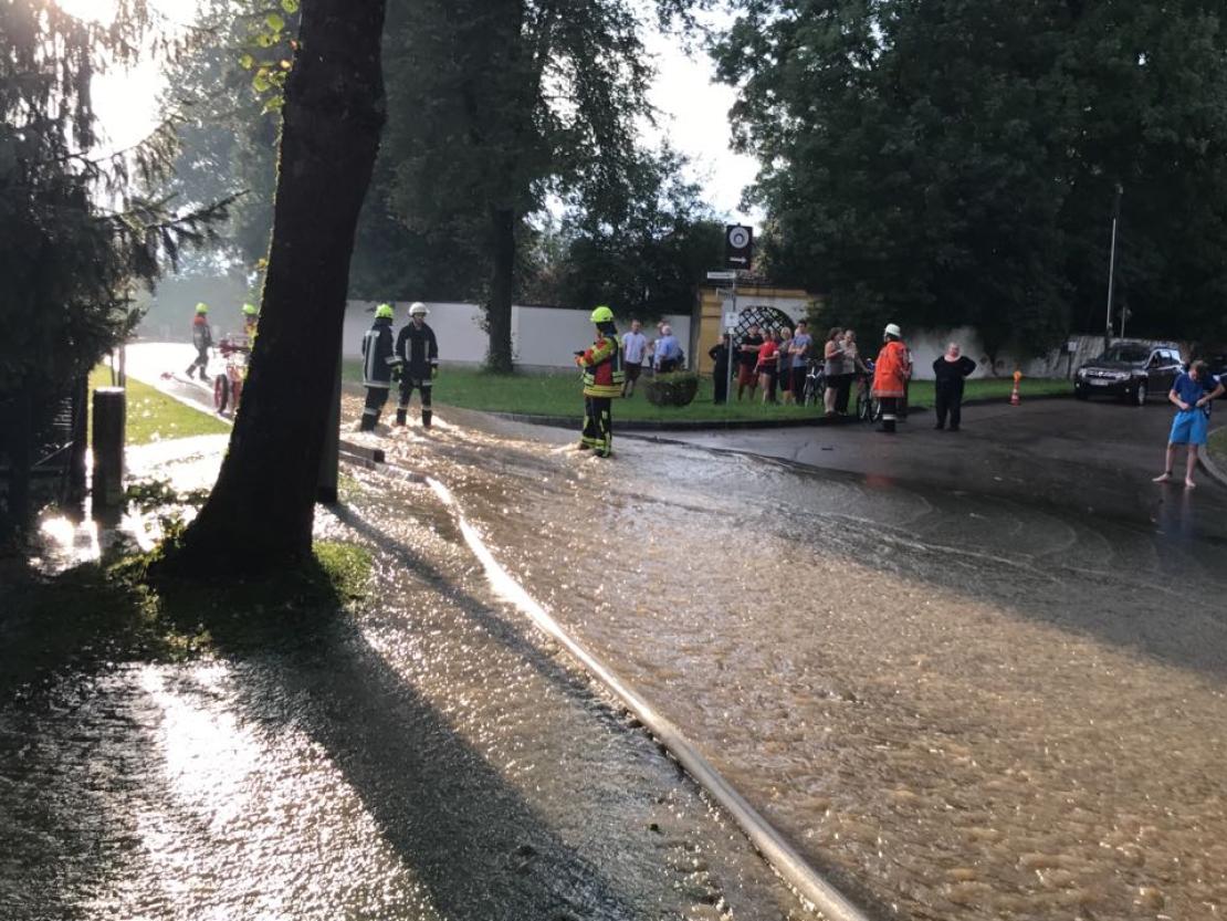 WhatsApp Image 2017-08-15 at 19.04.47