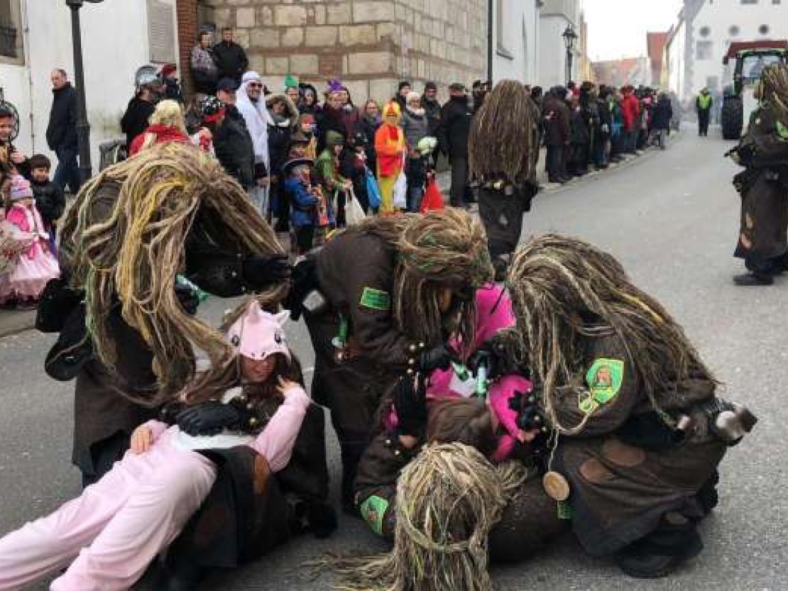 Faschingsumzug Donauwörth 2018 @Matthias Stark 015