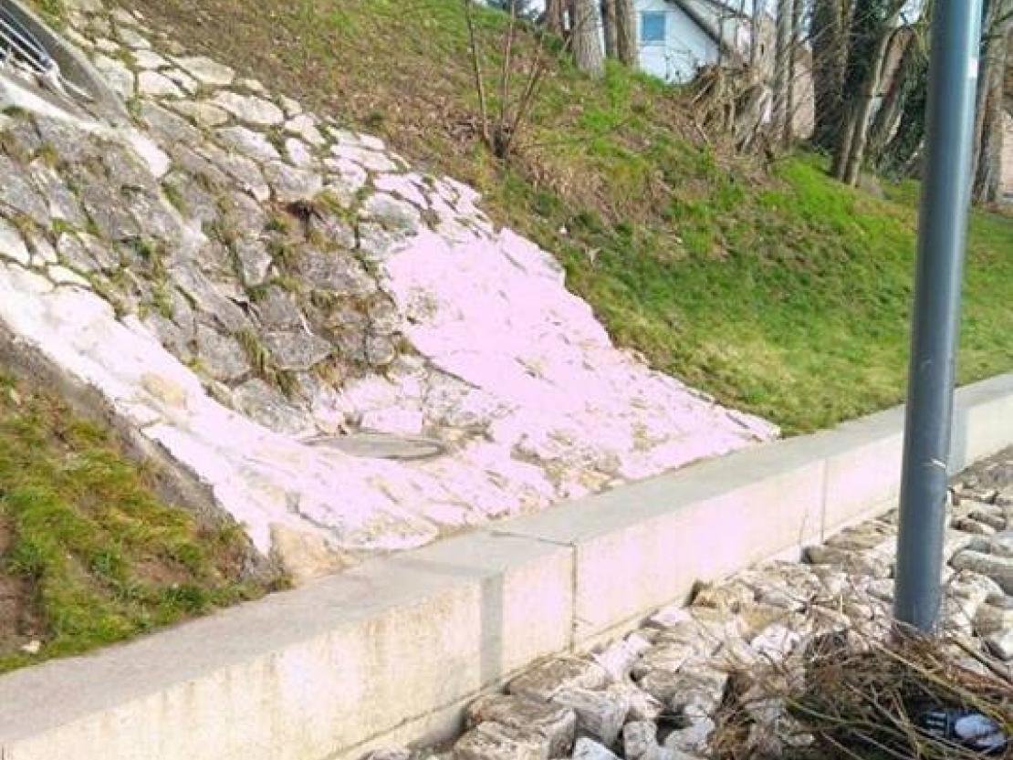 26696419_157949454827723_200957151_n