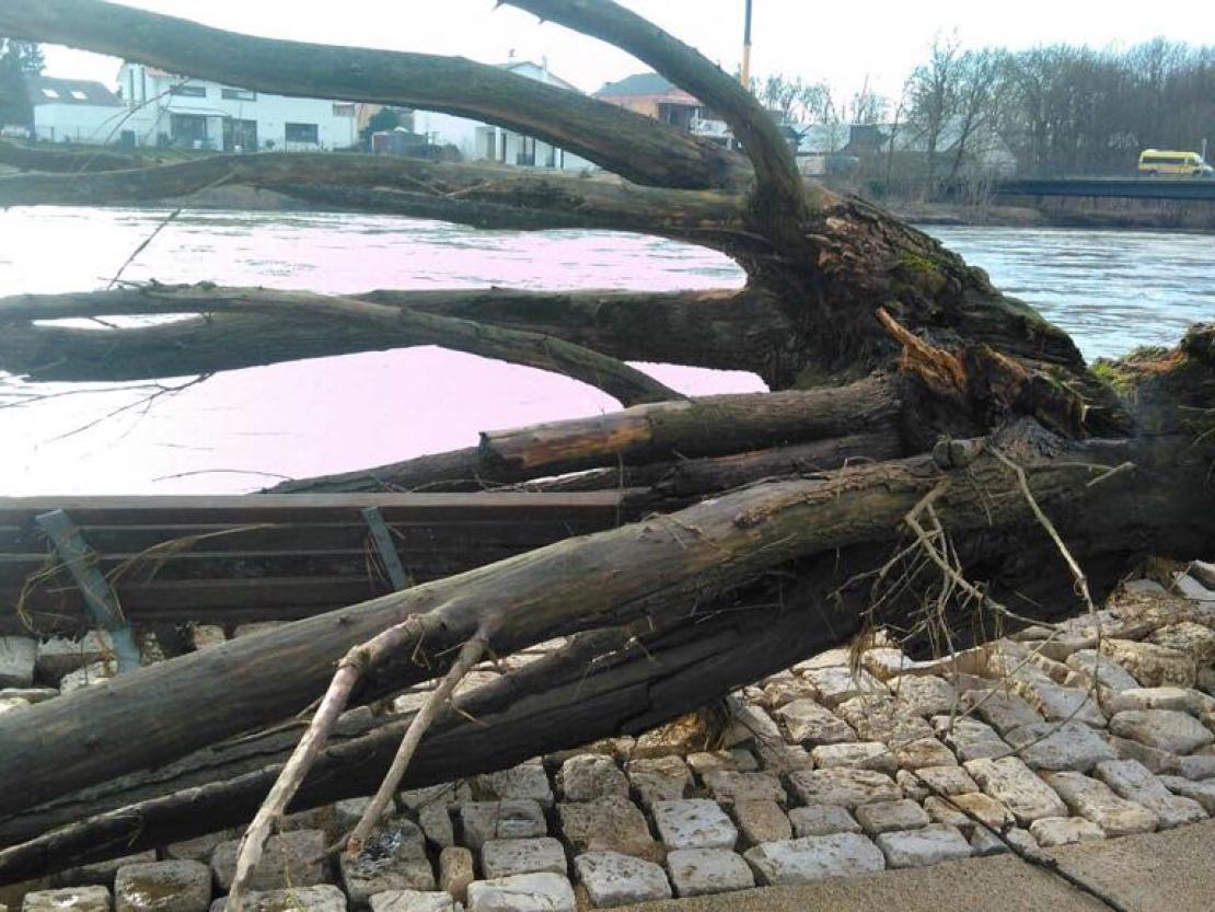 26733201_157949461494389_1740765383_o