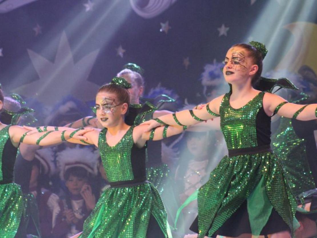 Prinzenball2018 Bäumenheim @Matthias Stark 054