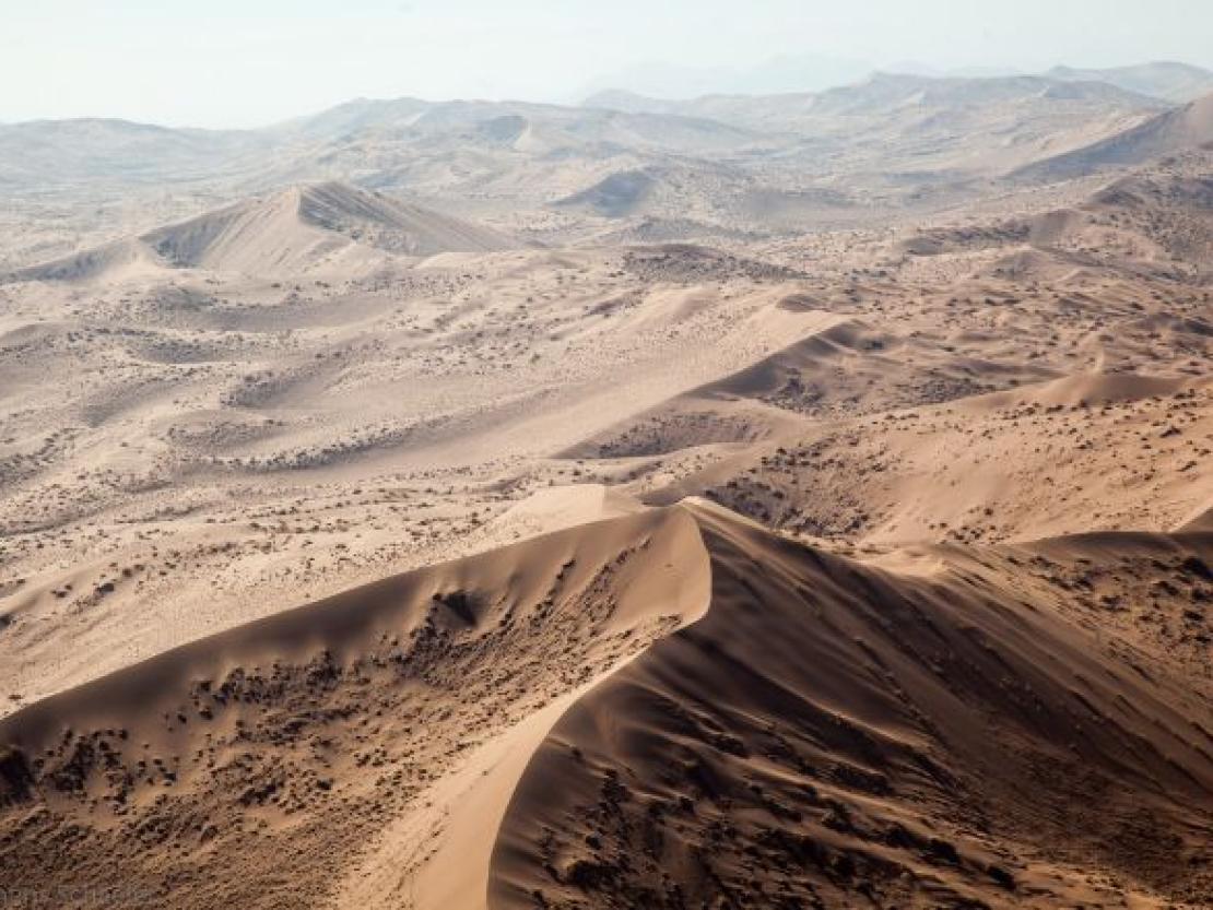 Bild Clemens Schaefer (82)