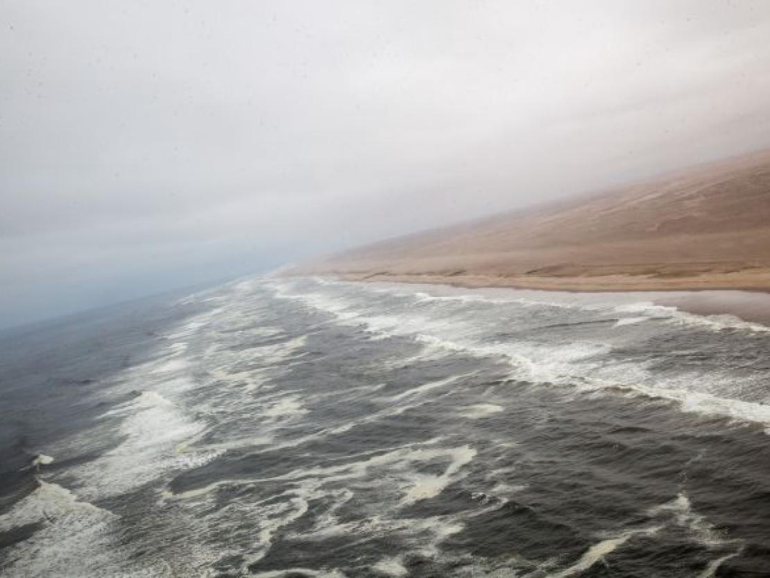 Bild Clemens Schaefer (83)