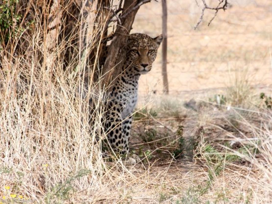 Bild Clemens Schaefer (95)