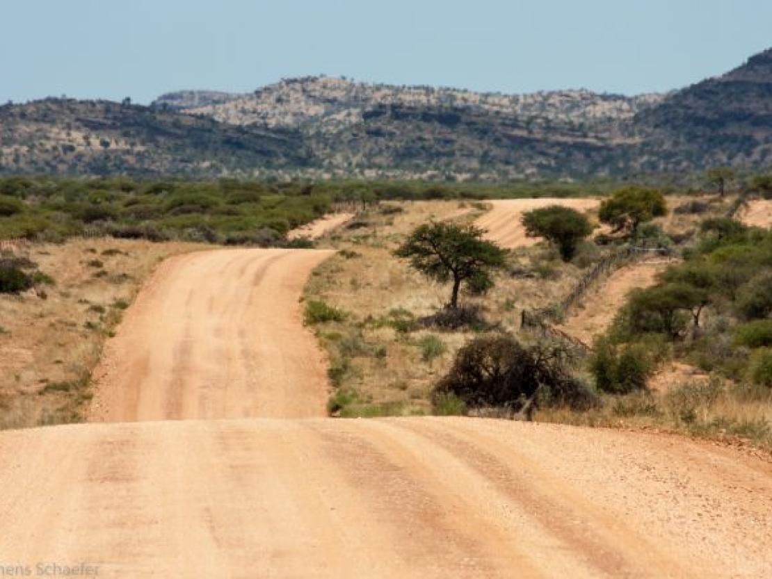 Bild Clemens Schaefer (97)