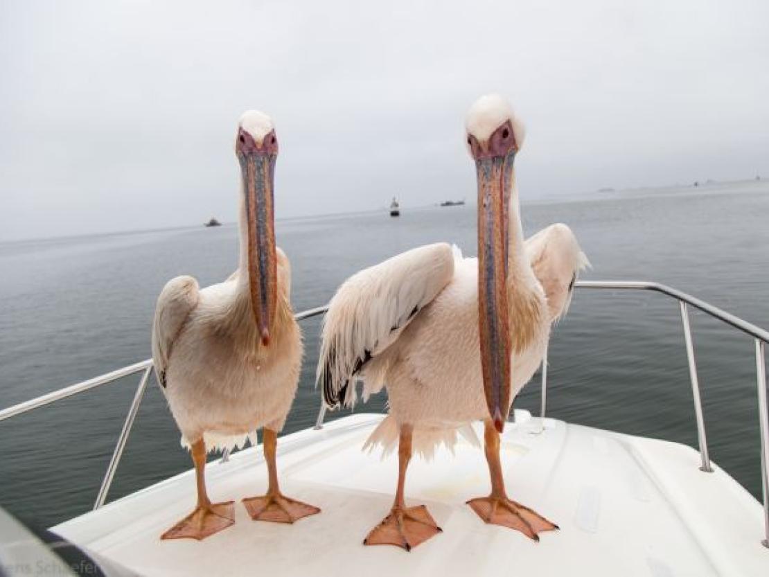 Bild Clemens Schaefer (98)