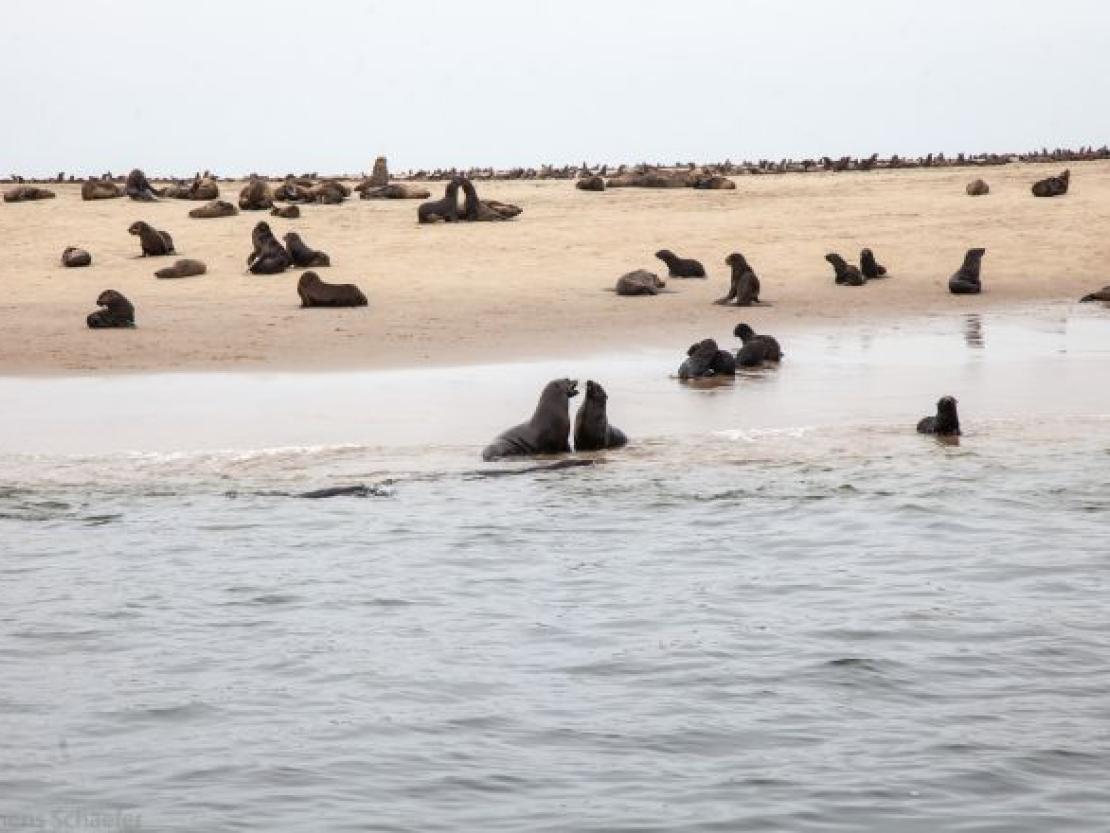 Bild Clemens Schaefer (99)