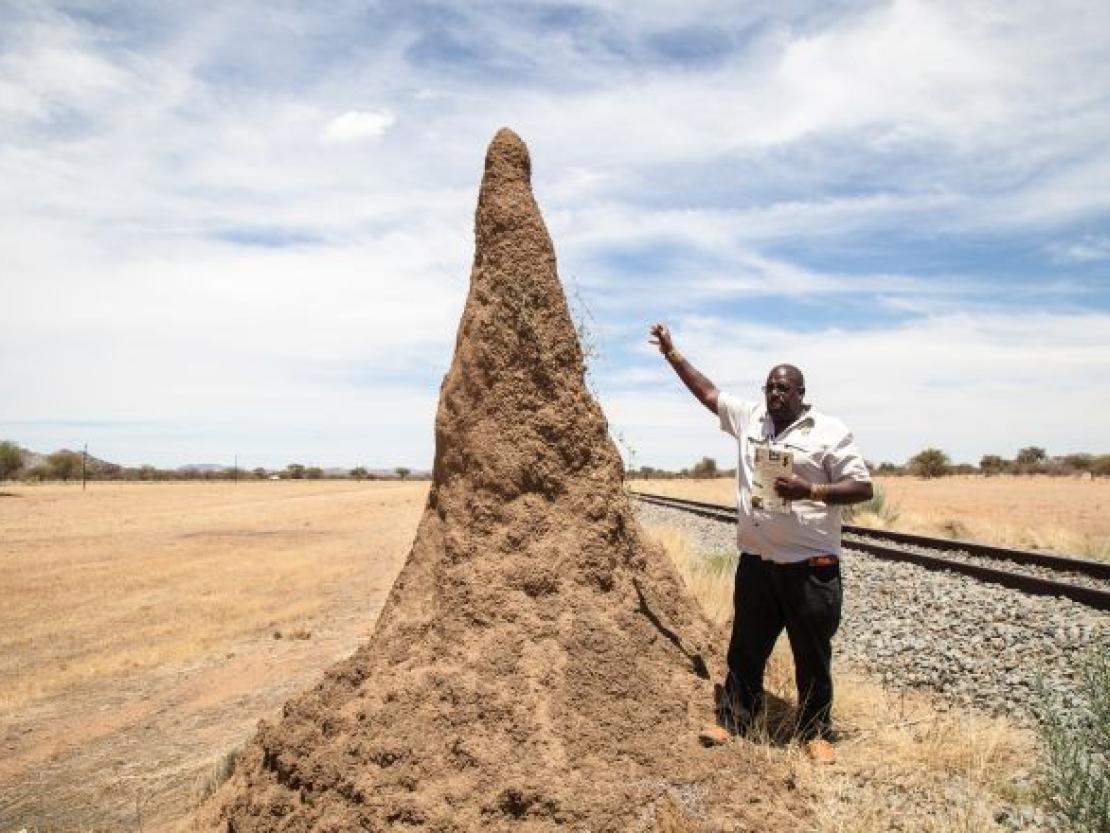 Bild Clemens Schaefer (79)
