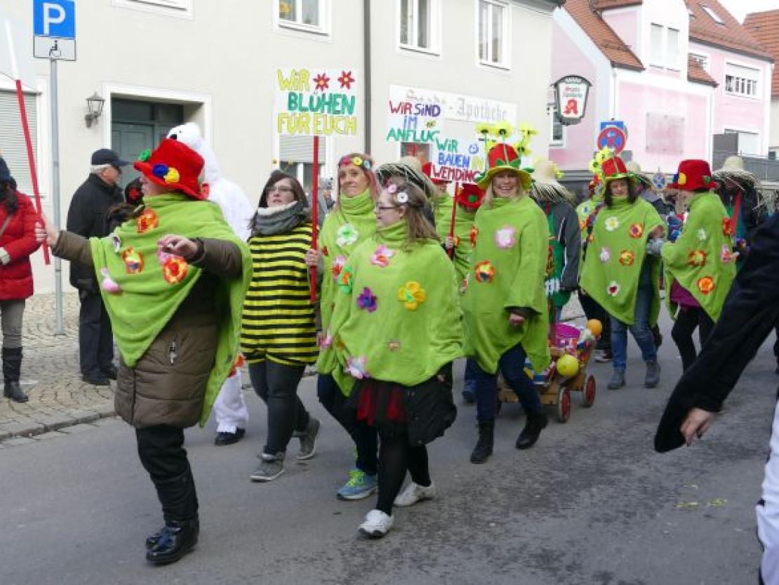 FaschingsumzugWemding@KristinRieger0010