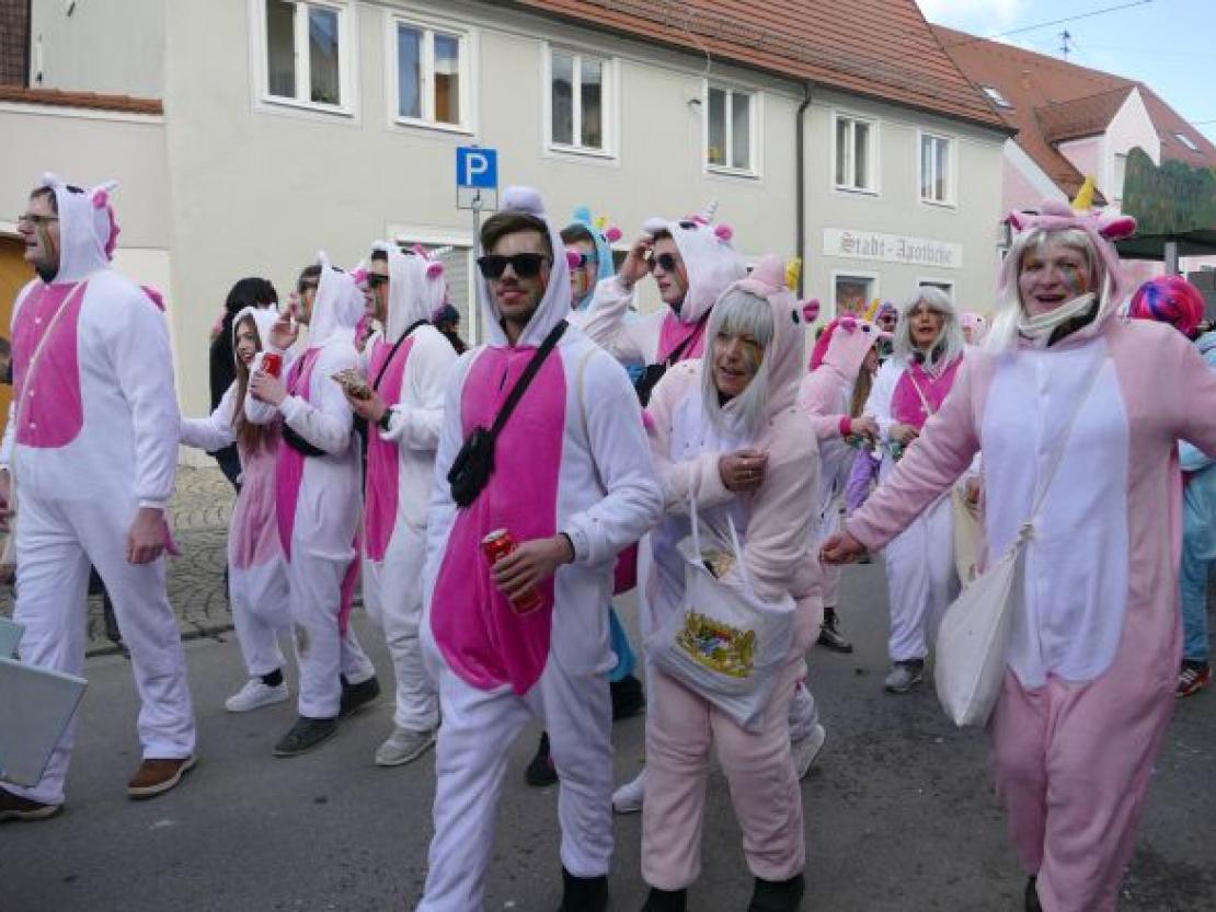 FaschingsumzugWemding@KristinRieger0034