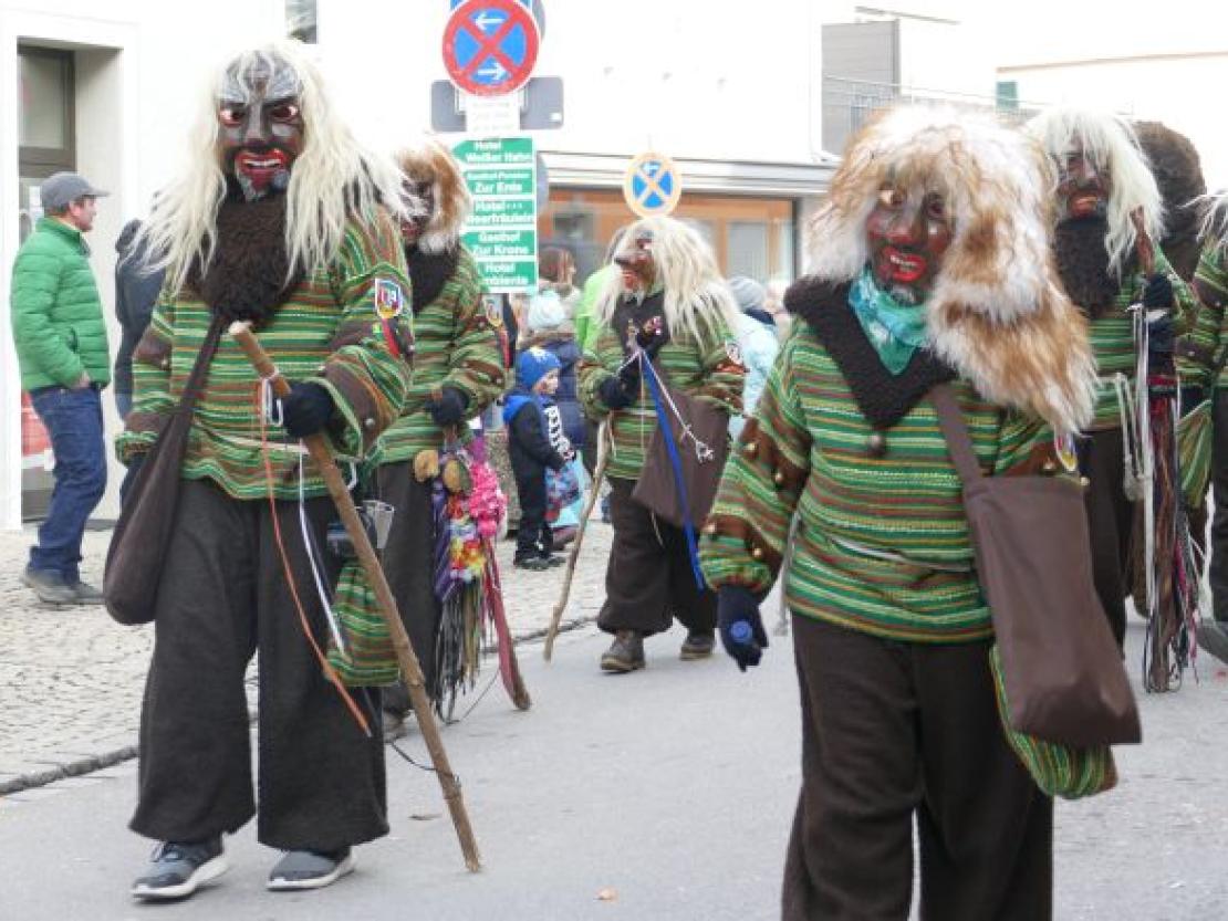 FaschingsumzugWemding@KristinRieger0037