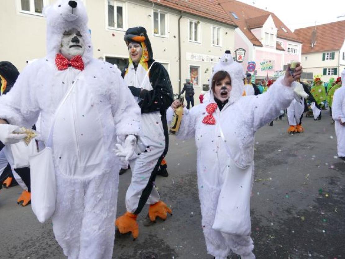 FaschingsumzugWemding@KristinRieger0009
