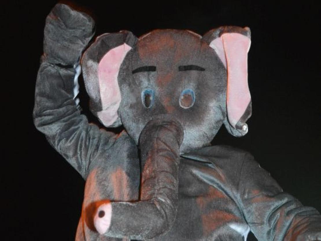 Nachtumzug2018@MaraKutzner0134