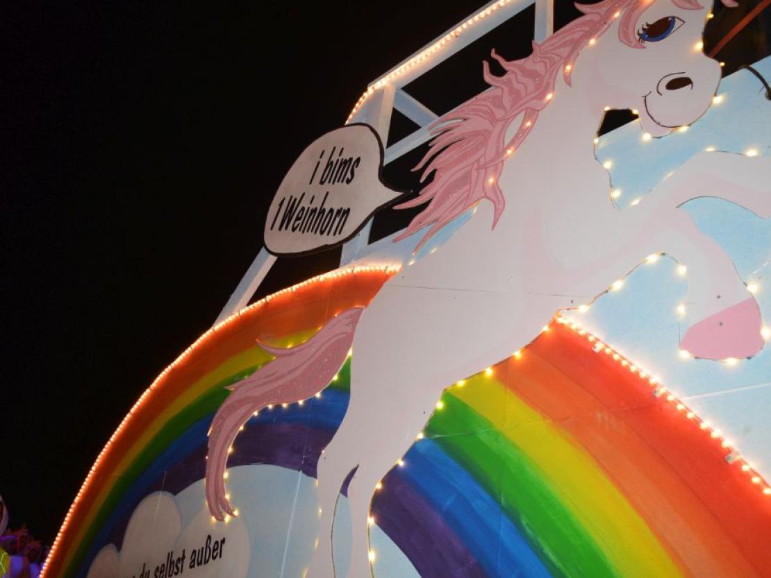 Nachtumzug2018@MaraKutzner0084