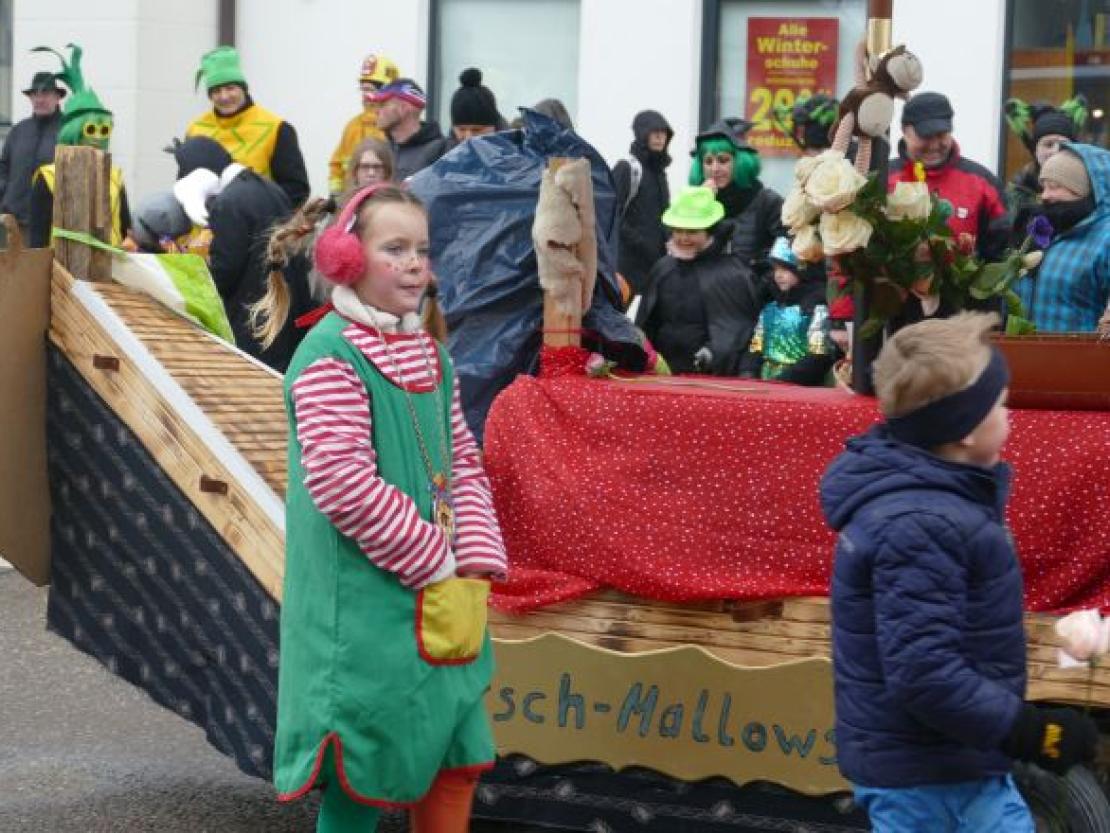 Faschingsumzug Rain 2018@Jenny Wagner0057