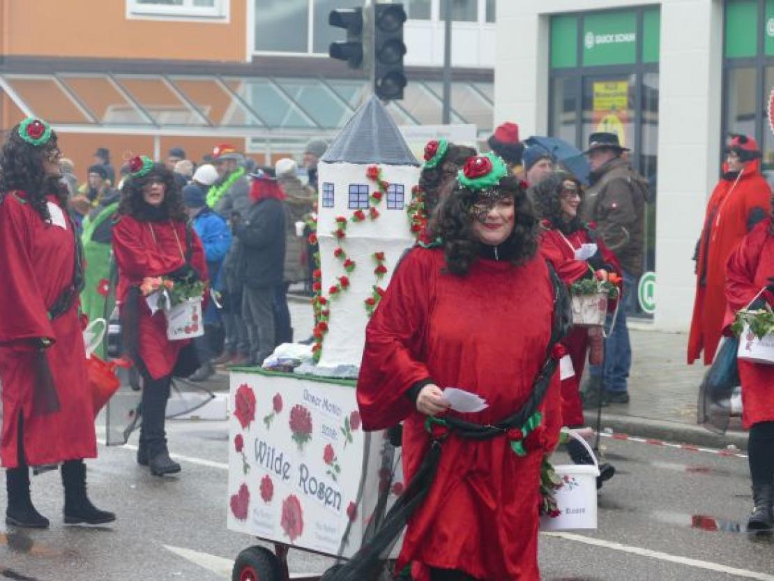 Faschingsumzug Rain 2018@Jenny Wagner0098