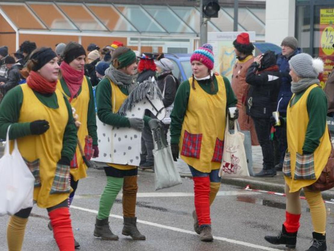 Faschingsumzug Rain 2018@Jenny Wagner0063