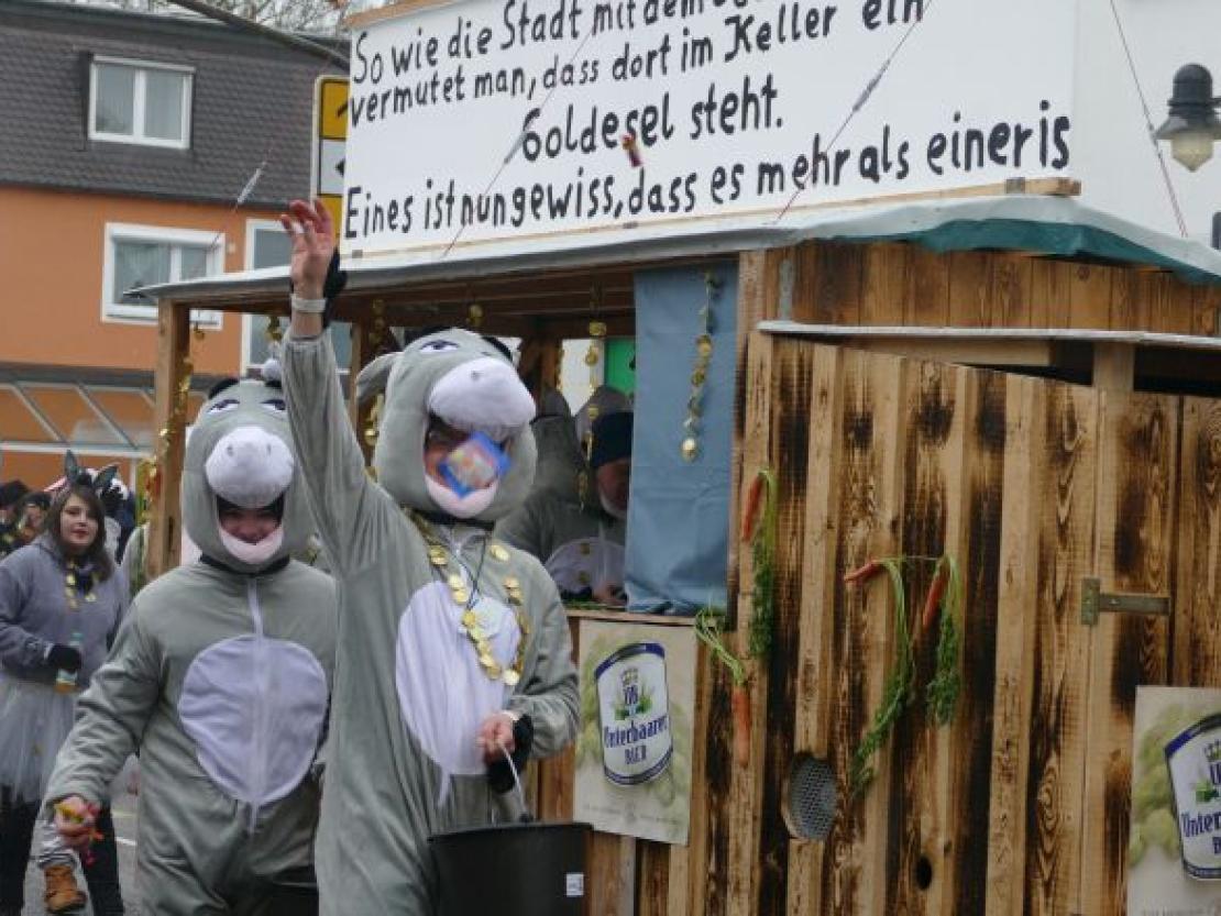 Faschingsumzug Rain 2018@Jenny Wagner0068