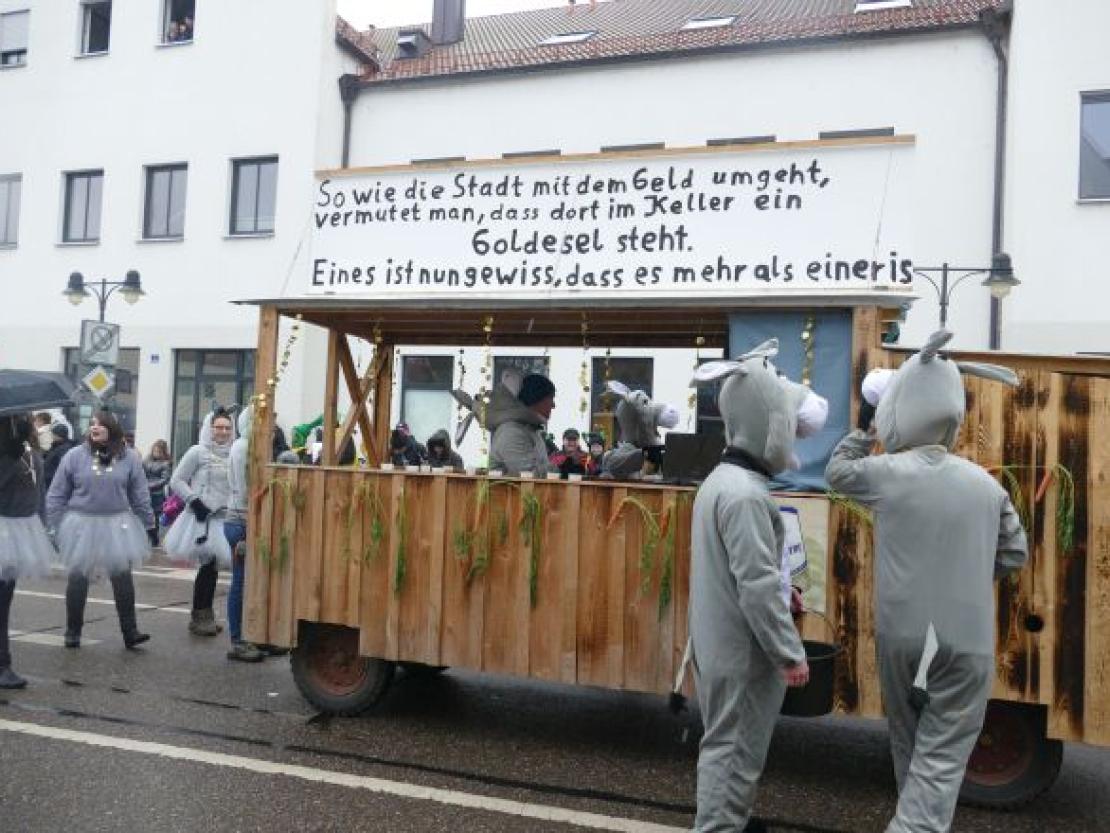 Faschingsumzug Rain 2018@Jenny Wagner0069