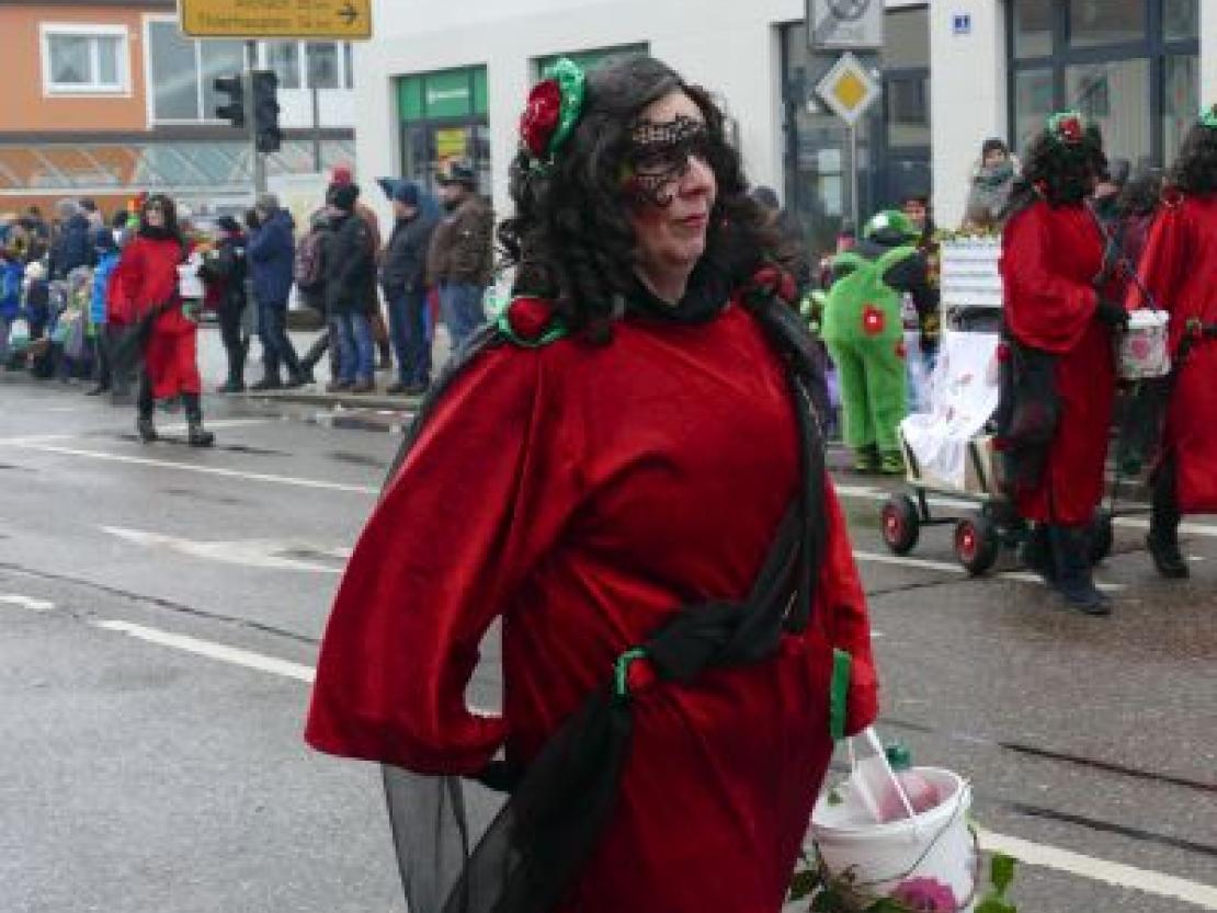 Faschingsumzug Rain 2018@Jenny Wagner0099