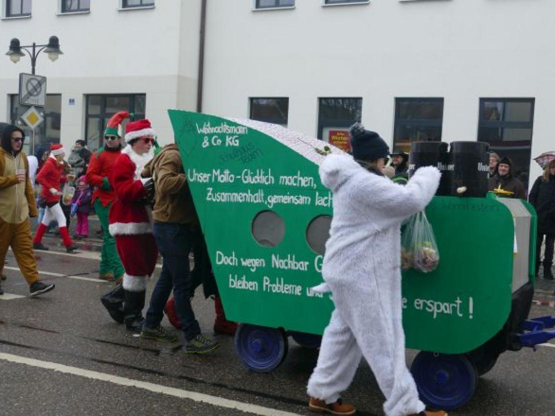 Faschingsumzug Rain 2018@Jenny Wagner0100