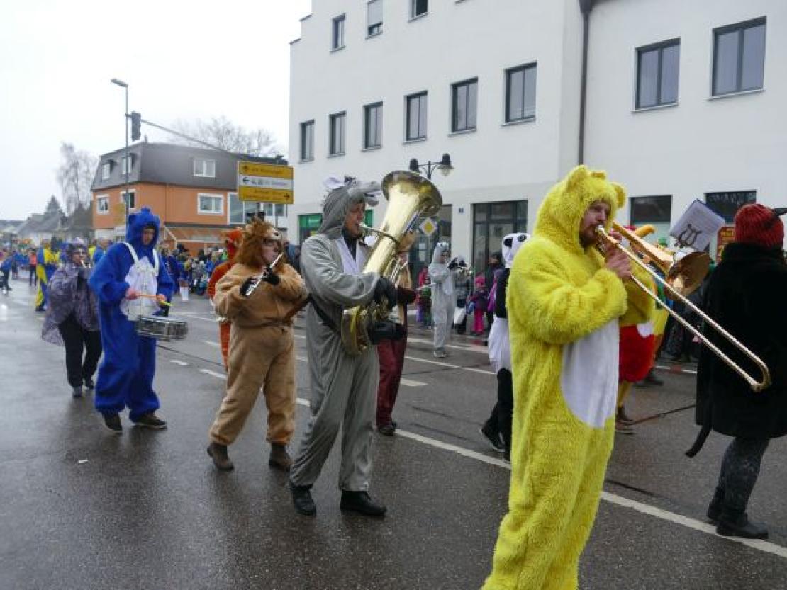 Faschingsumzug Rain 2018@Jenny Wagner0086