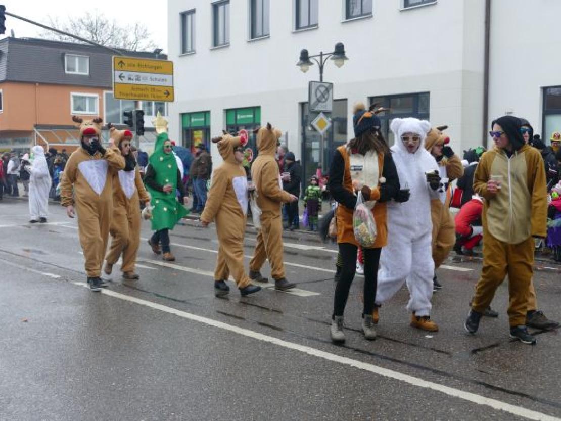 Faschingsumzug Rain 2018@Jenny Wagner0101