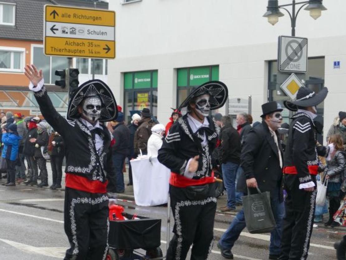 Faschingsumzug Rain 2018@Jenny Wagner0105