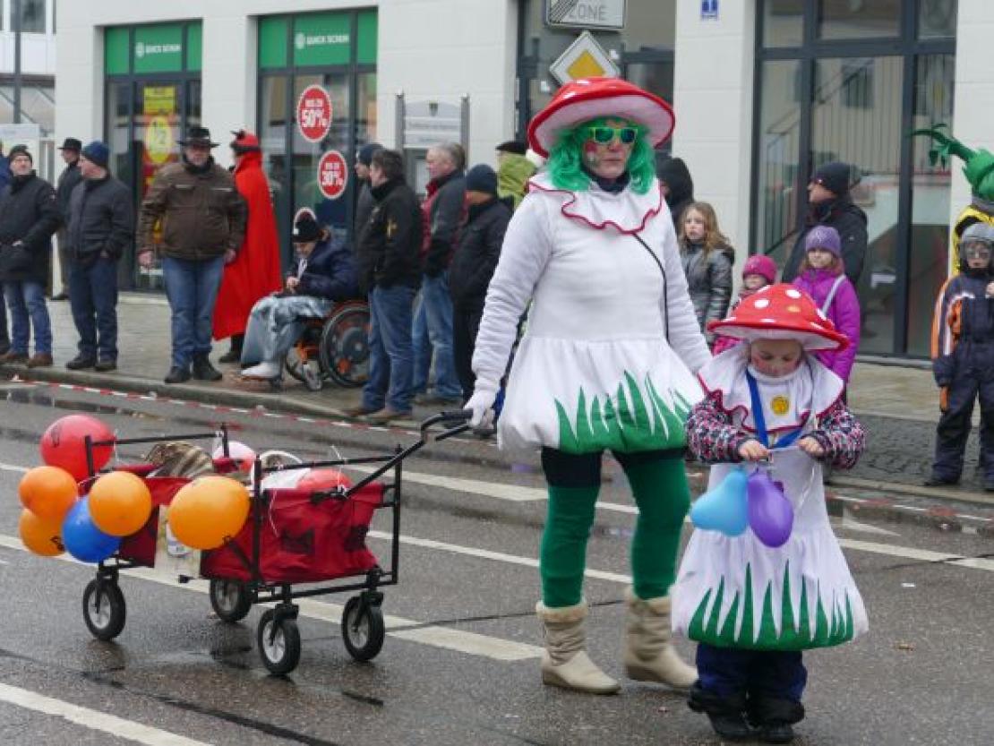 Faschingsumzug Rain 2018@Jenny Wagner0107
