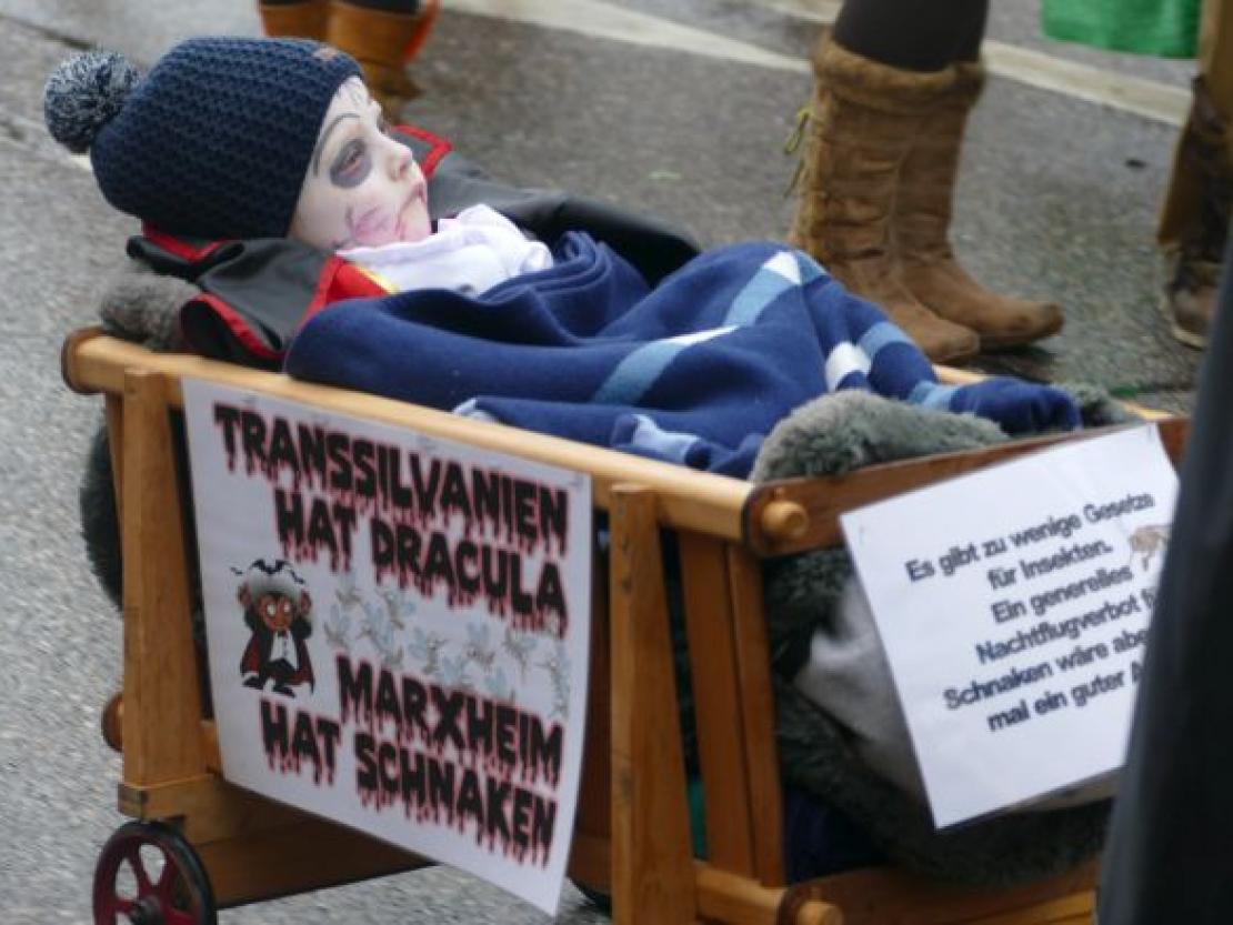 Faschingsumzug Rain 2018@Jenny Wagner0109