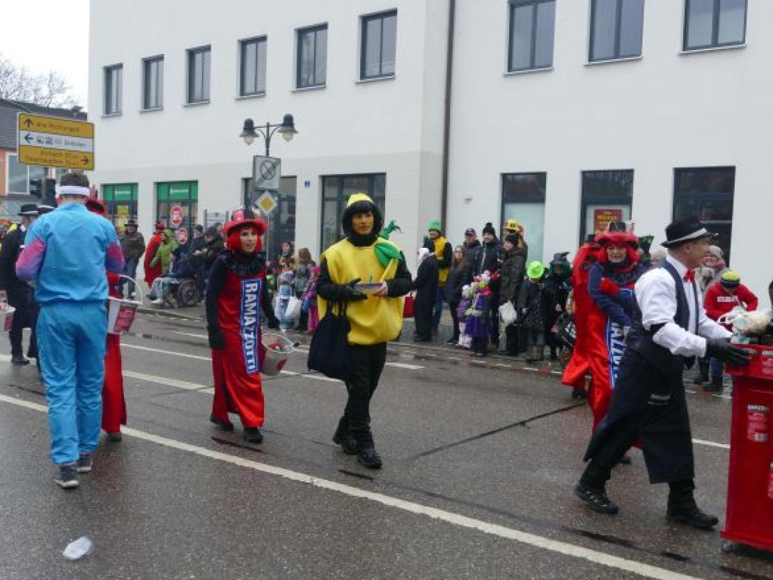 Faschingsumzug Rain 2018@Jenny Wagner0121