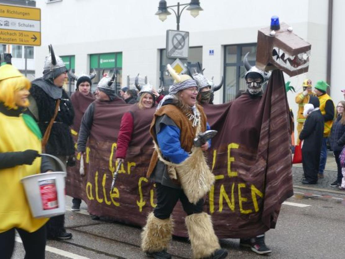 Faschingsumzug Rain 2018@Jenny Wagner0122
