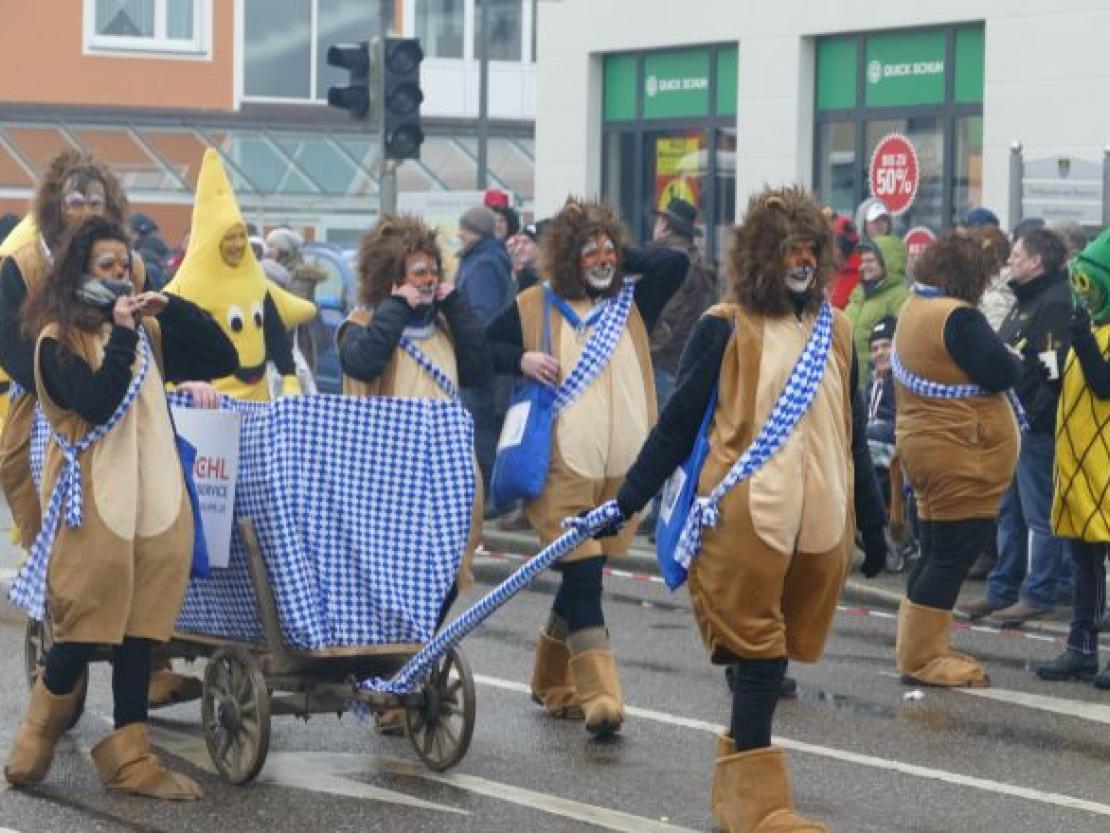 Faschingsumzug Rain 2018@Jenny Wagner0124