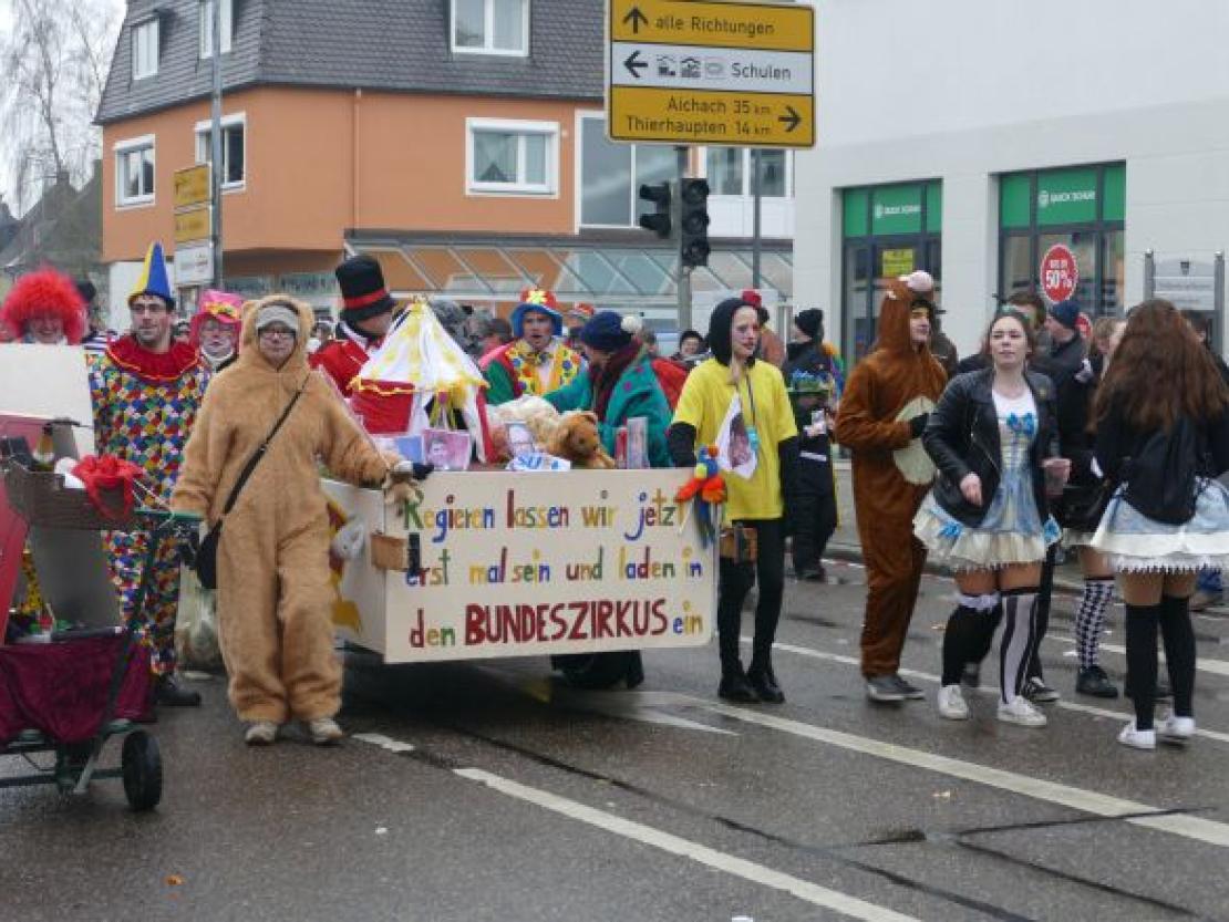 Faschingsumzug Rain 2018@Jenny Wagner0132