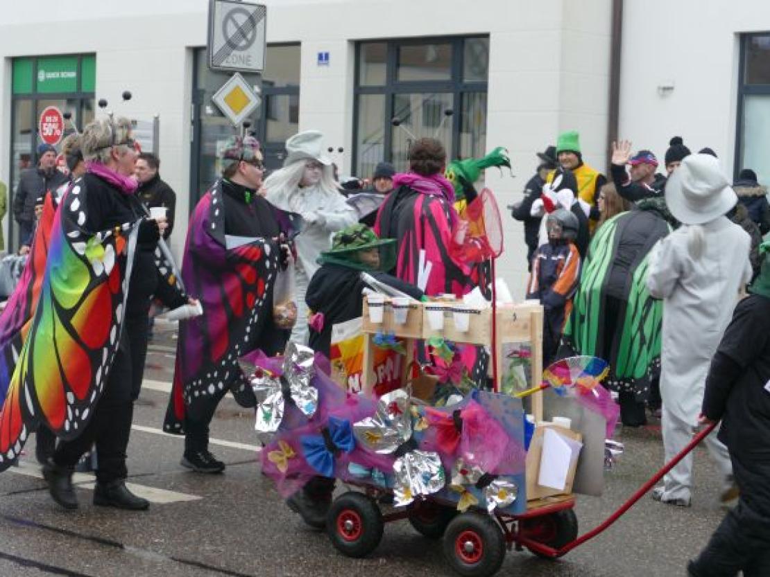 Faschingsumzug Rain 2018@Jenny Wagner0135